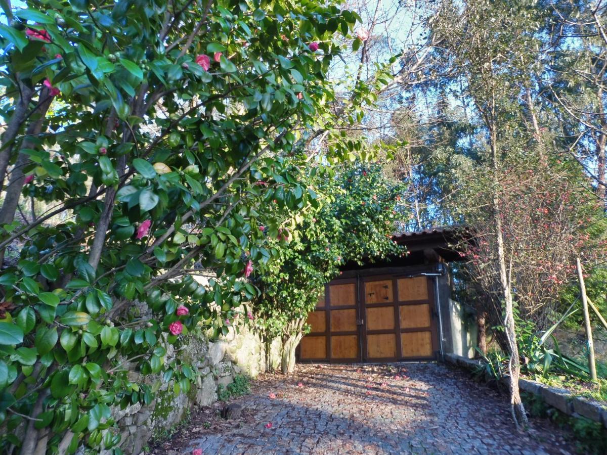 Quinta da Tapada Apartment Longos Bagian luar foto